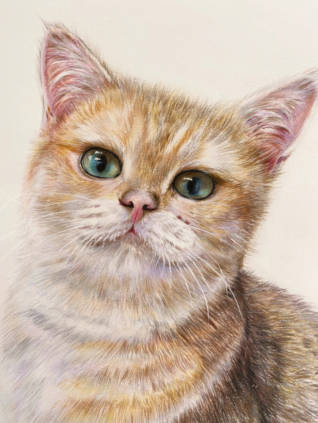 彩铅画猫咪 一步一步图片