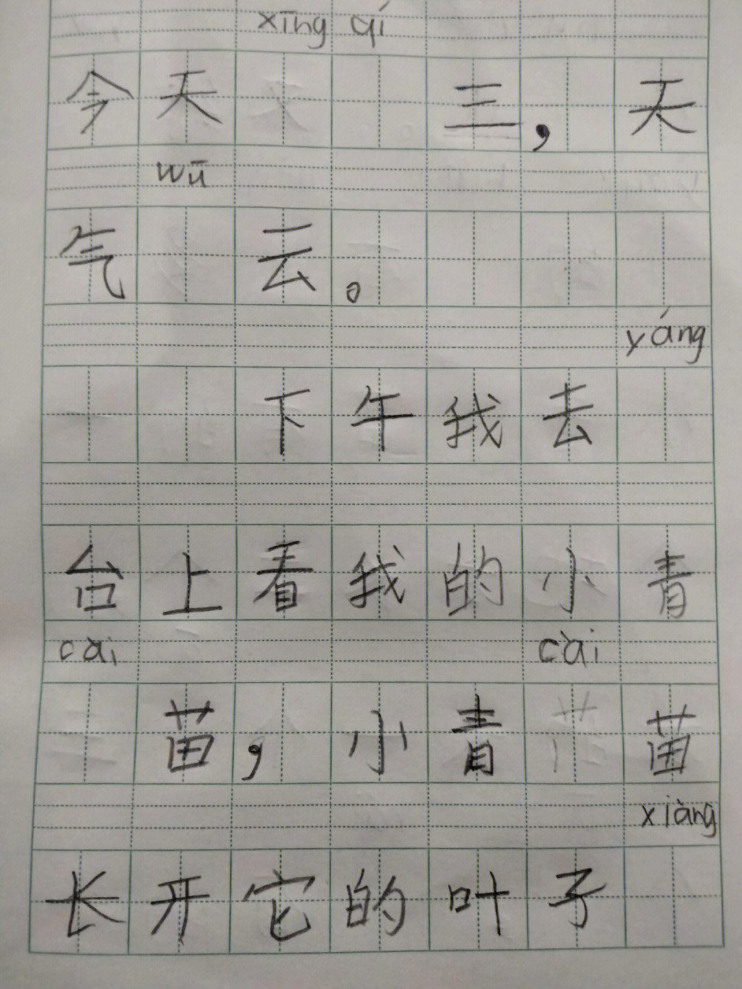 日记10字种菜图片