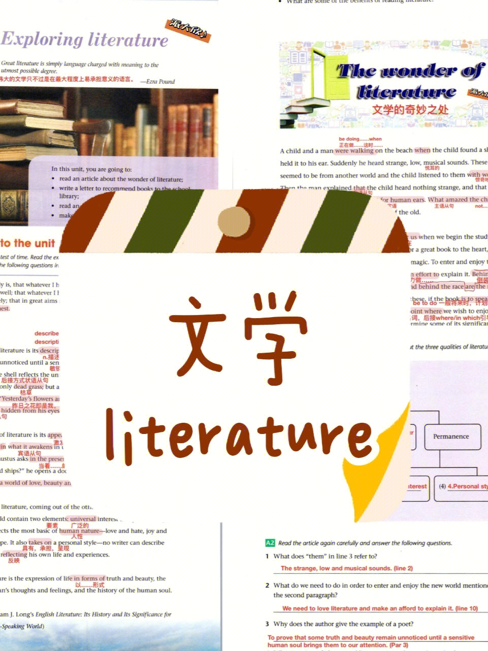 literature stands图片