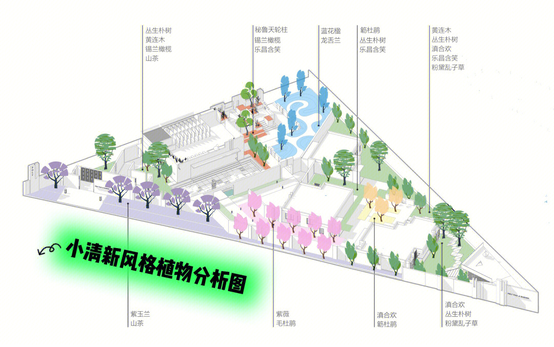 帅小伙竟然四步出一张简约明快的植物分析图