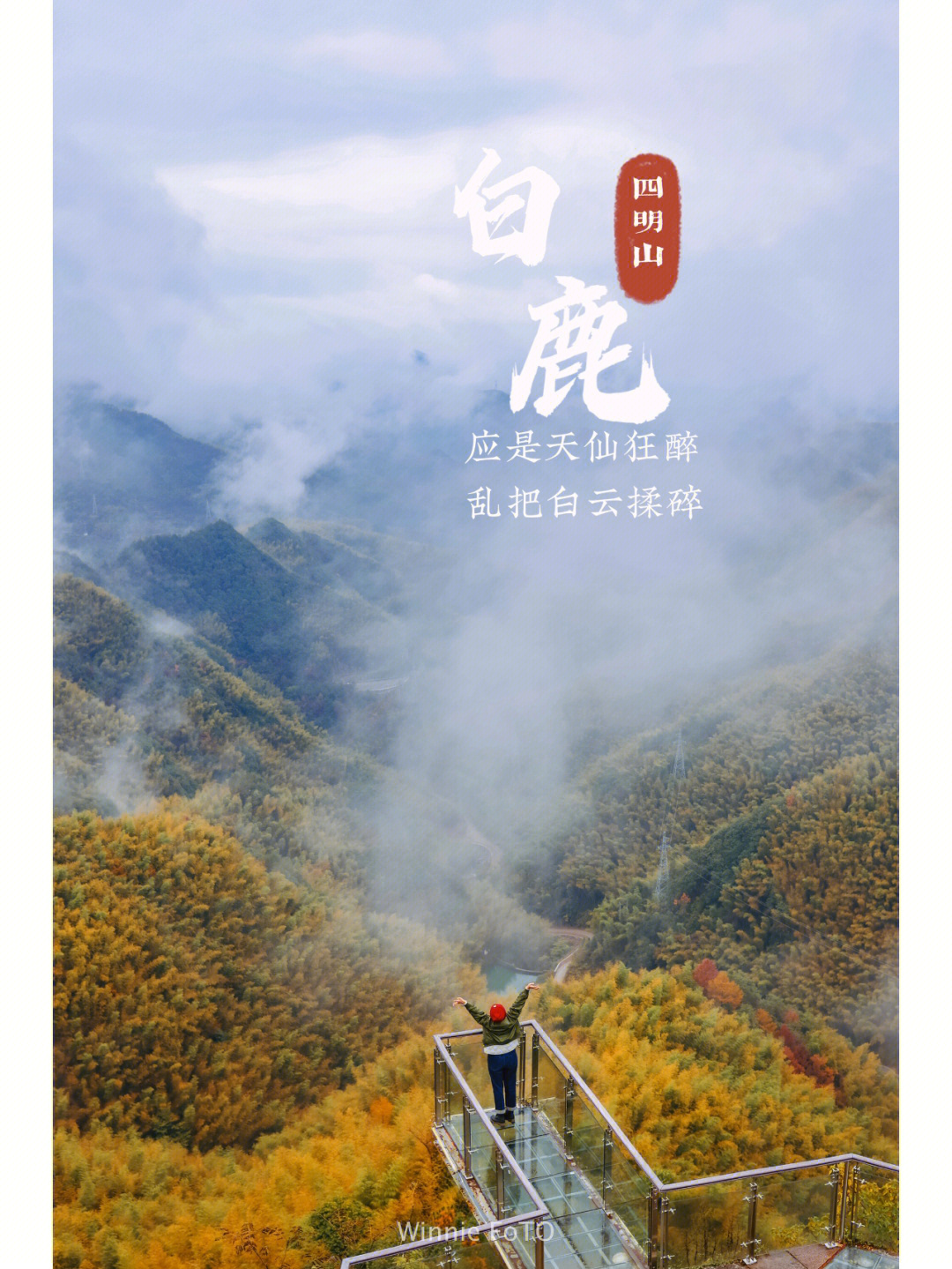 宁波深秋四明山终遇见白鹿观景台云海奇景