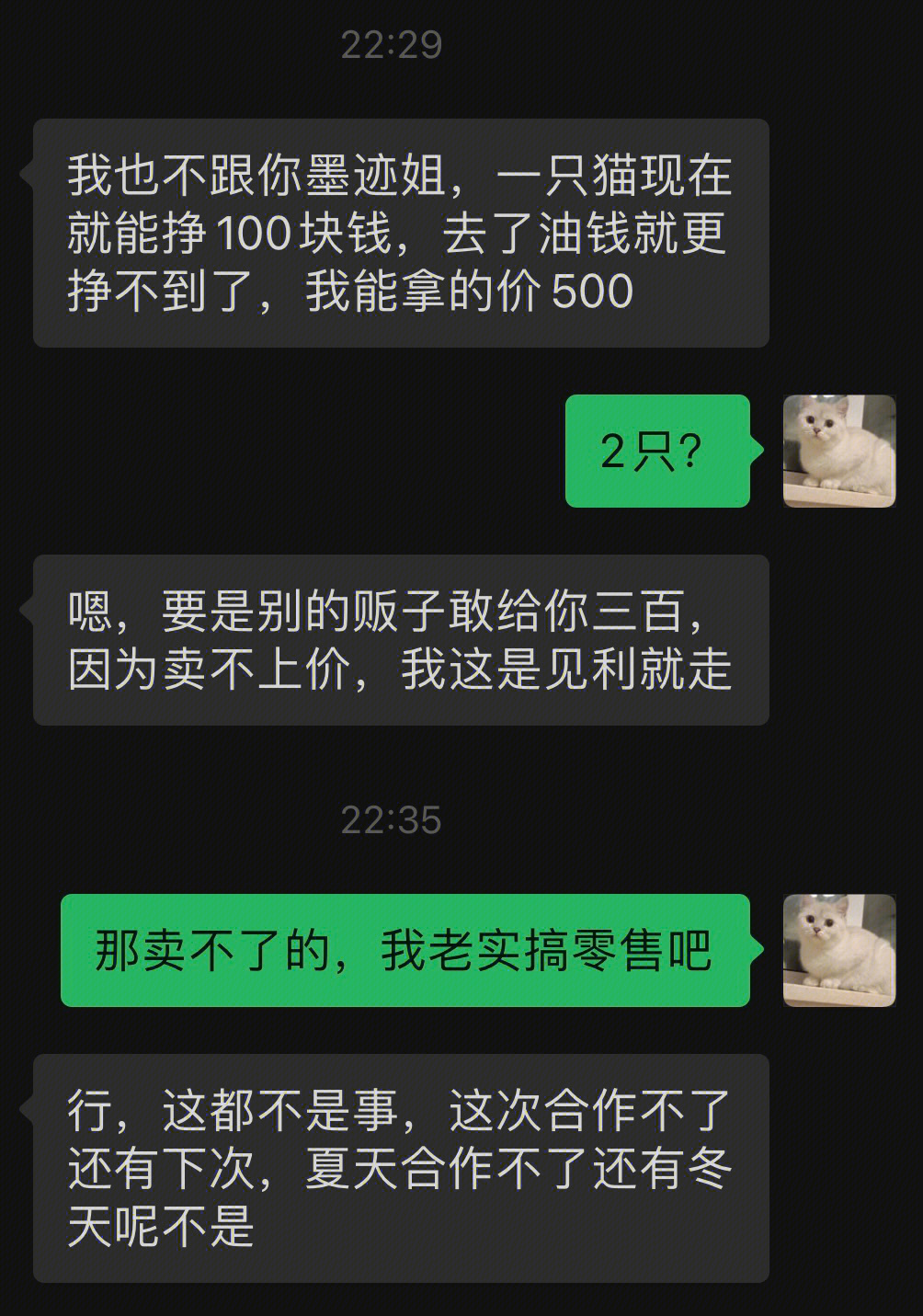 沈阳猫贩子图片