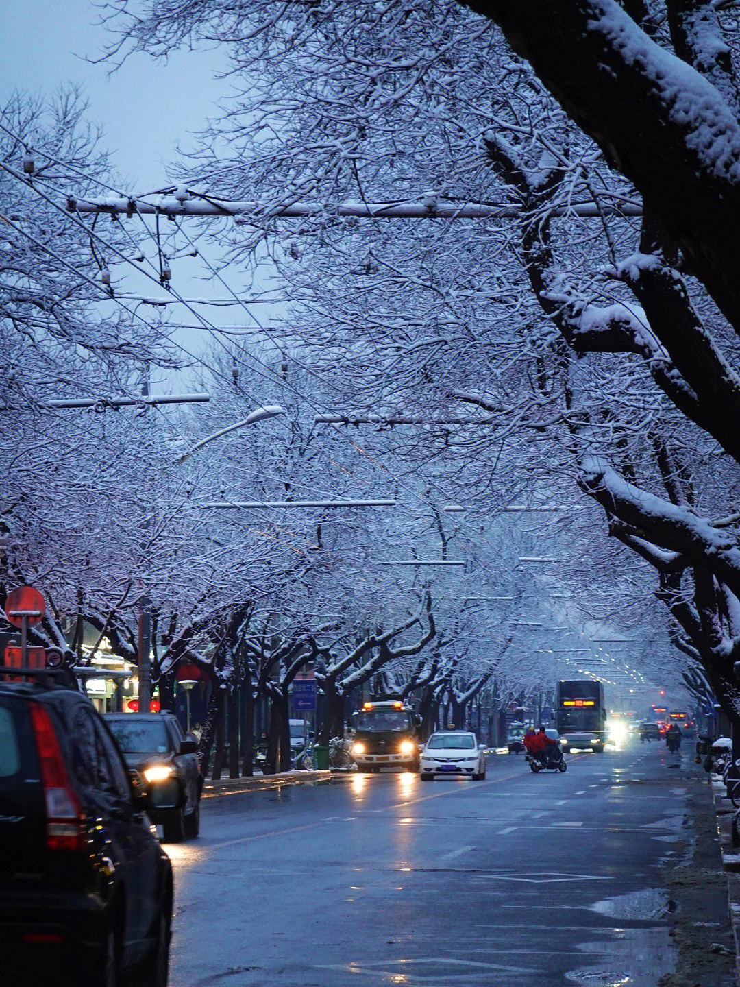 北京下雪了吗2022图片