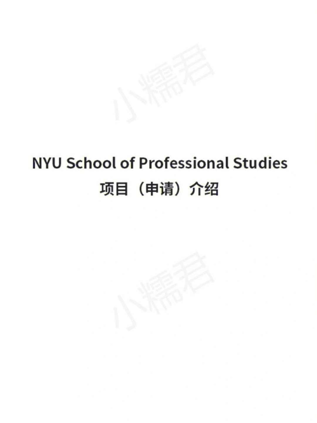 nyualbert图片