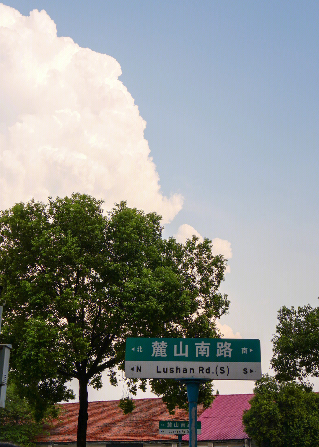 毕业一年又回麓山南路