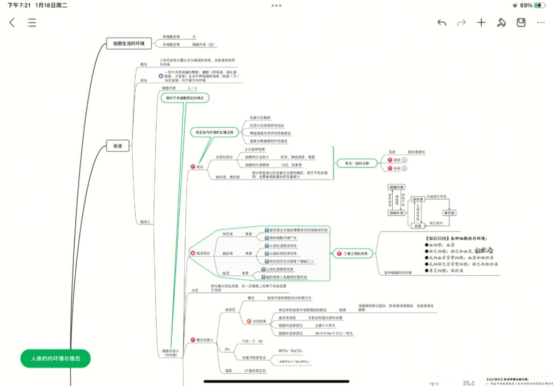 内环境的稳态思维导图图片