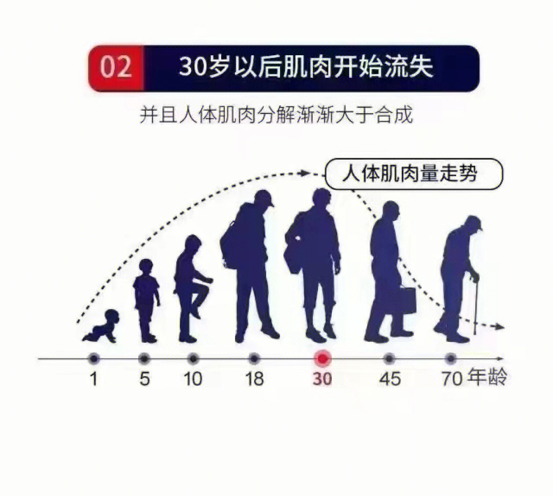 影响,饮食调整,营养素补充,科学运动都有利于维持良好的肌肉量和功能