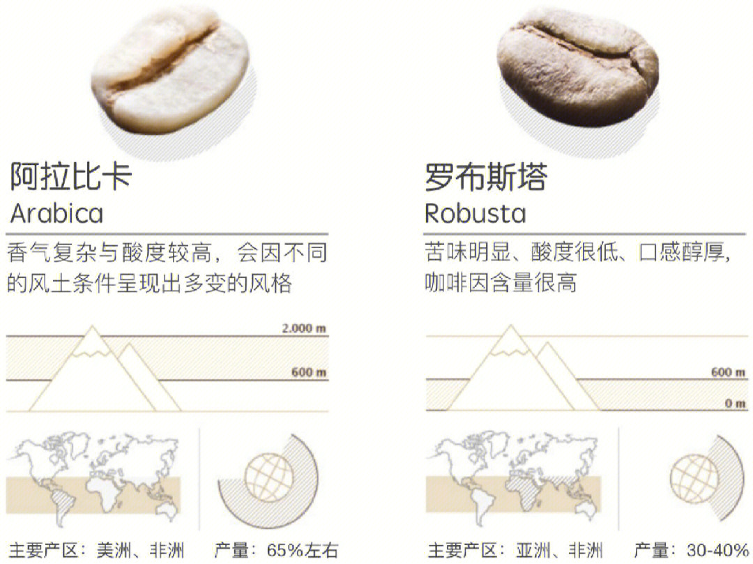 阿拉比卡与罗布斯塔的区别上