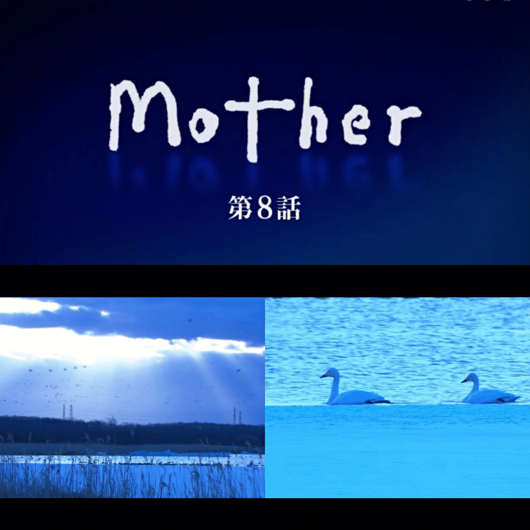 日剧mother妈妈再诱拐我一次