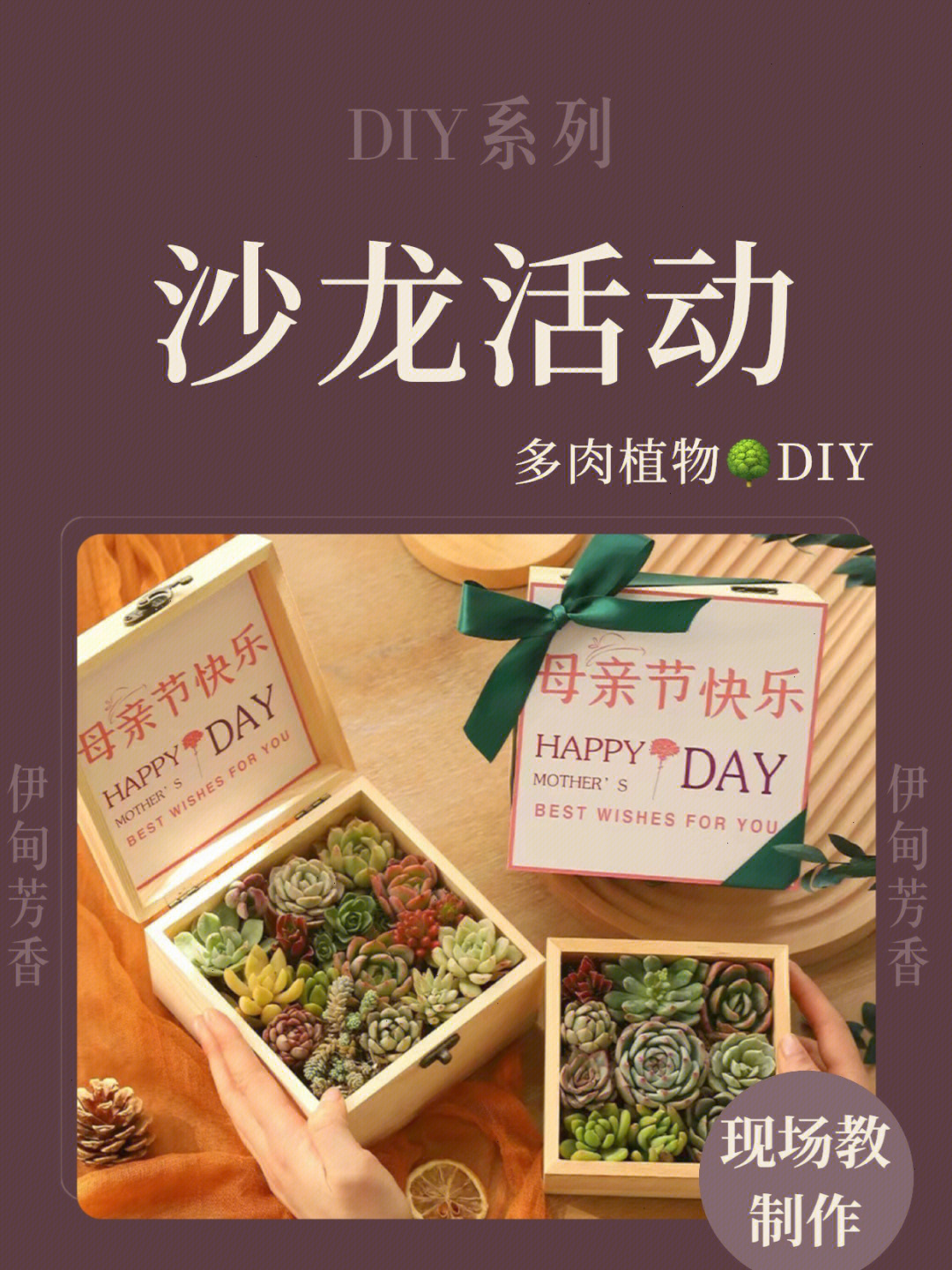 深圳企业团建活动多肉植物礼盒diy