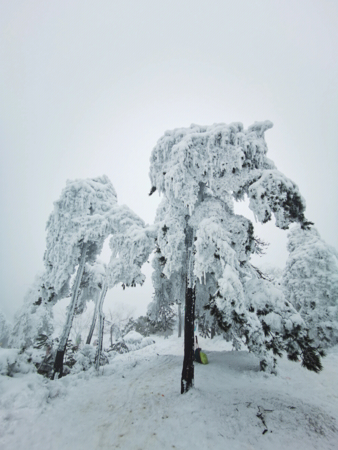 坐标:杭州临安双石村#杭州周边游#雪景#百丈岭