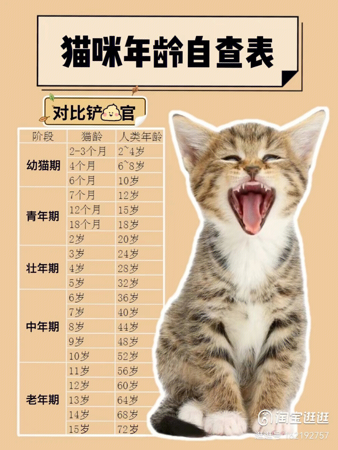 猫咪年龄