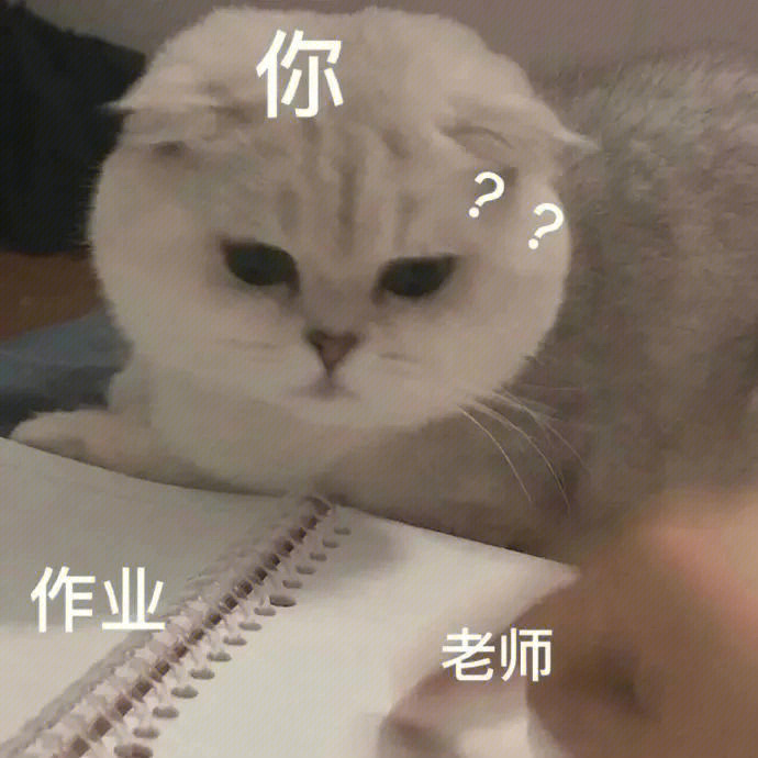 猫猫表情今天是不想写作业的小猫