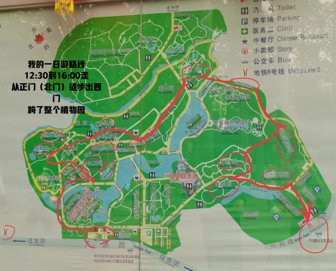 华南植物园地图图片
