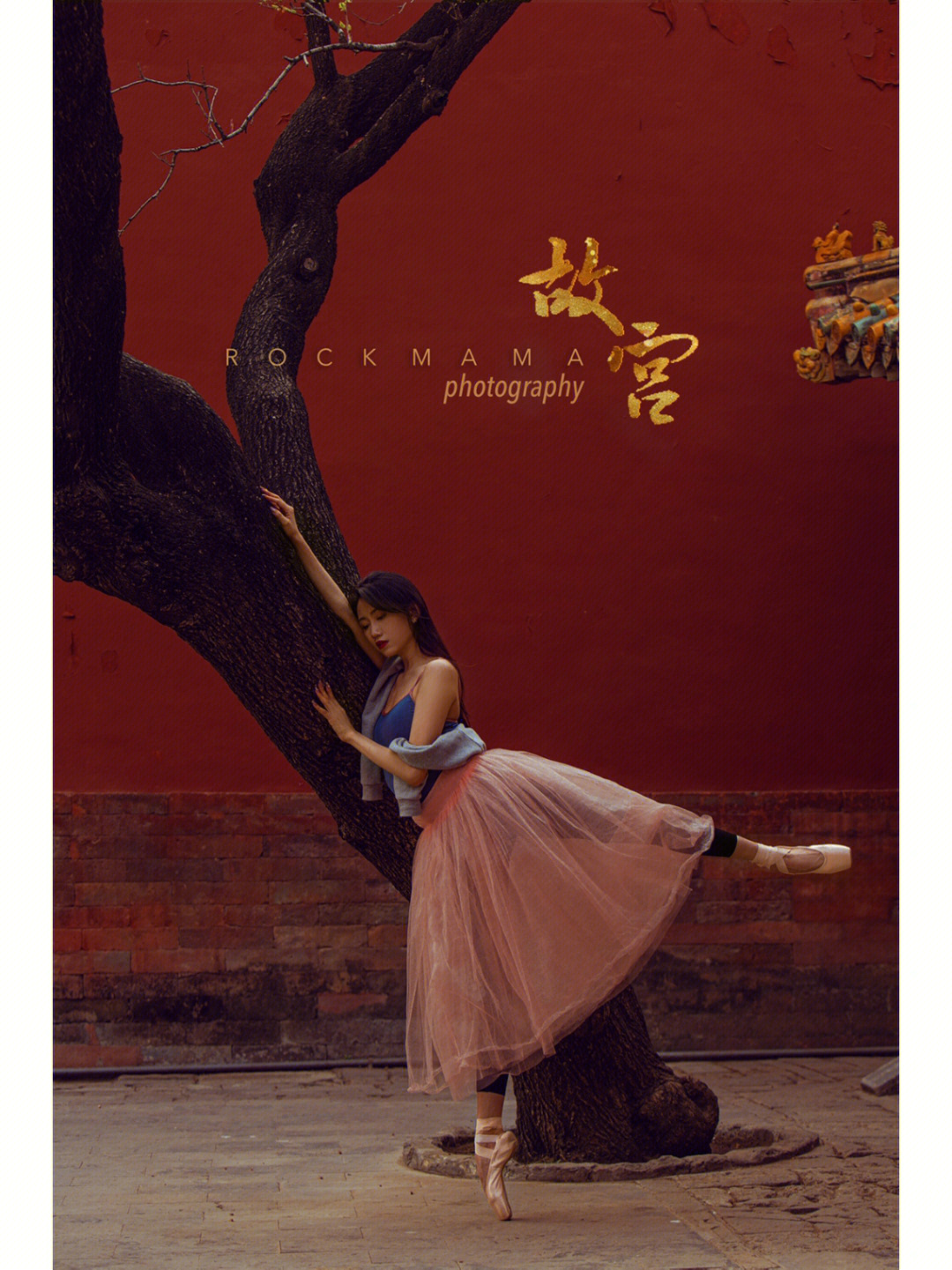 紫禁城的芭蕾电影图片