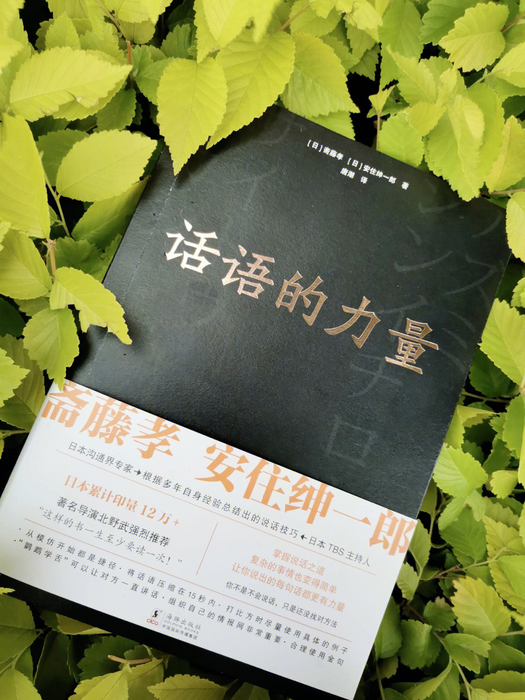 《话语的力量》作者:  【日】斋藤孝,安住绅一郎·7815你不是不