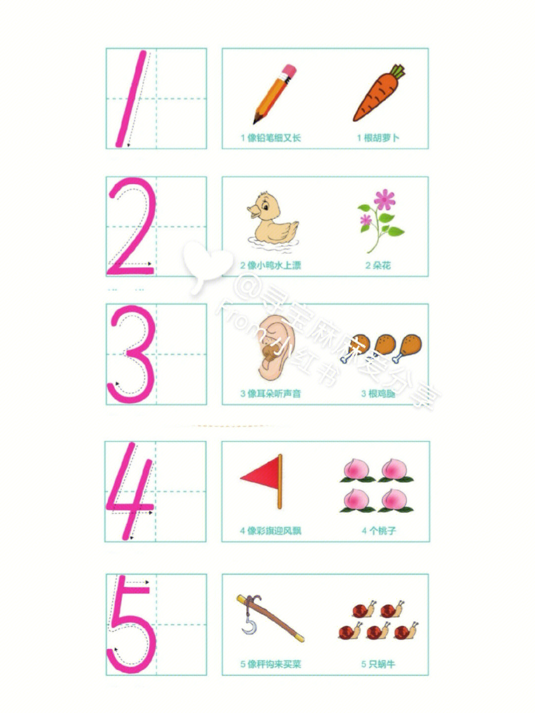 认识数字标准数字书写可打印