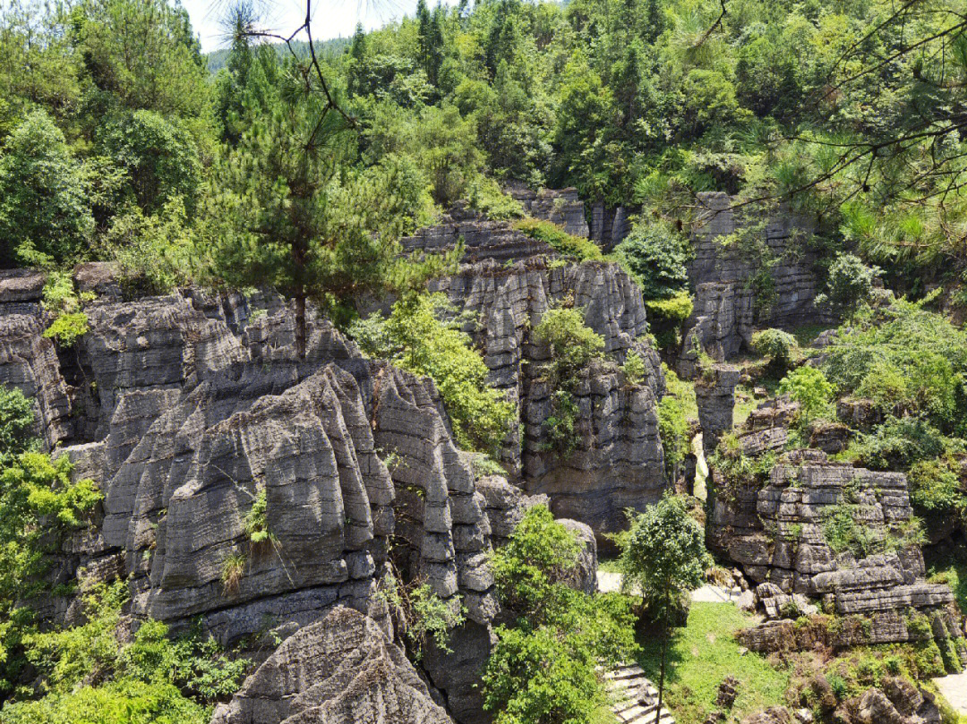 梭布垭石林被称为世界第一奥陶纪石林,位于湖北省恩施市太阳河乡境内