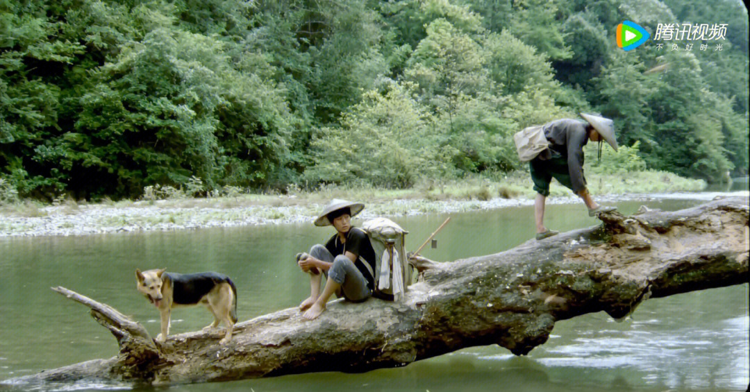 电影分享那山那人那狗