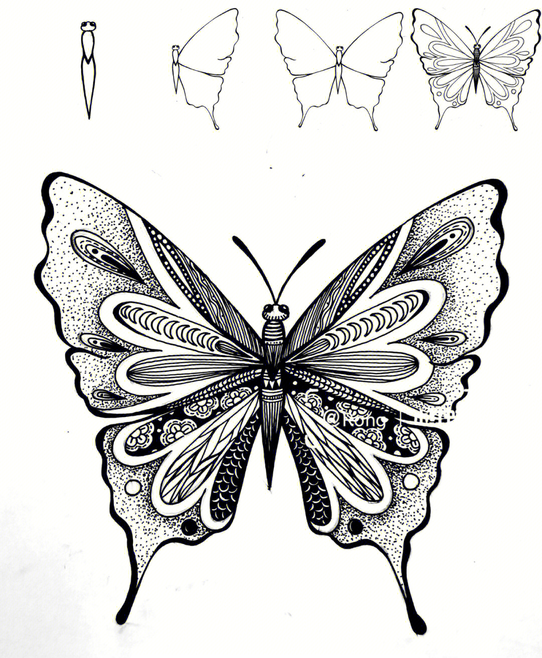 蝴蝶线描画花纹图片