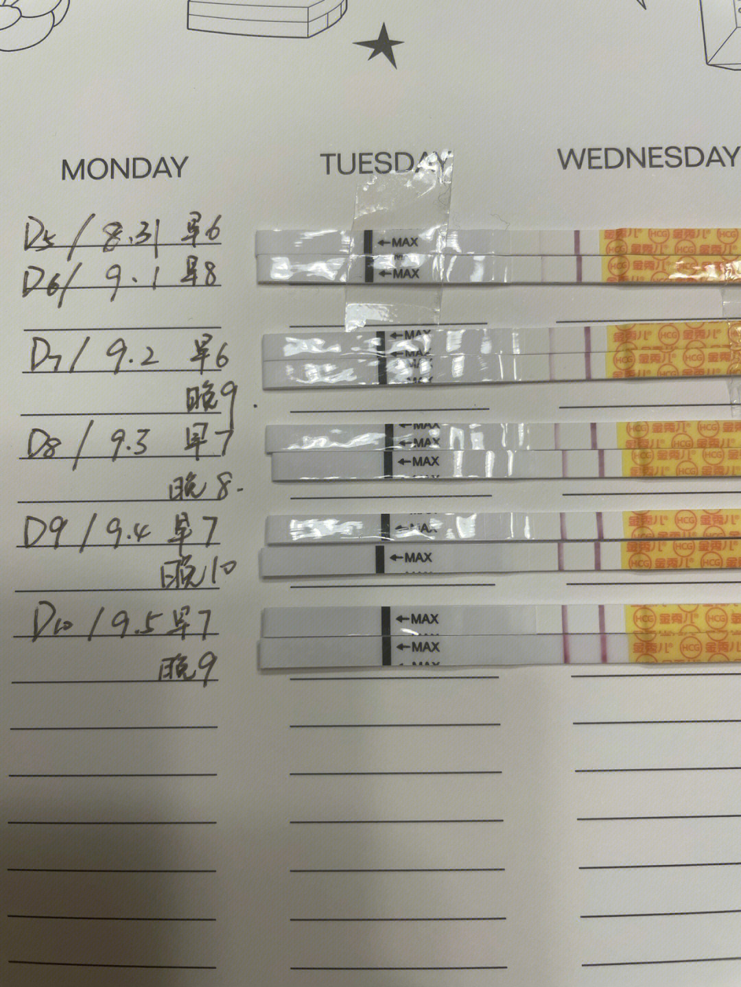 移植后第十天水印图片图片