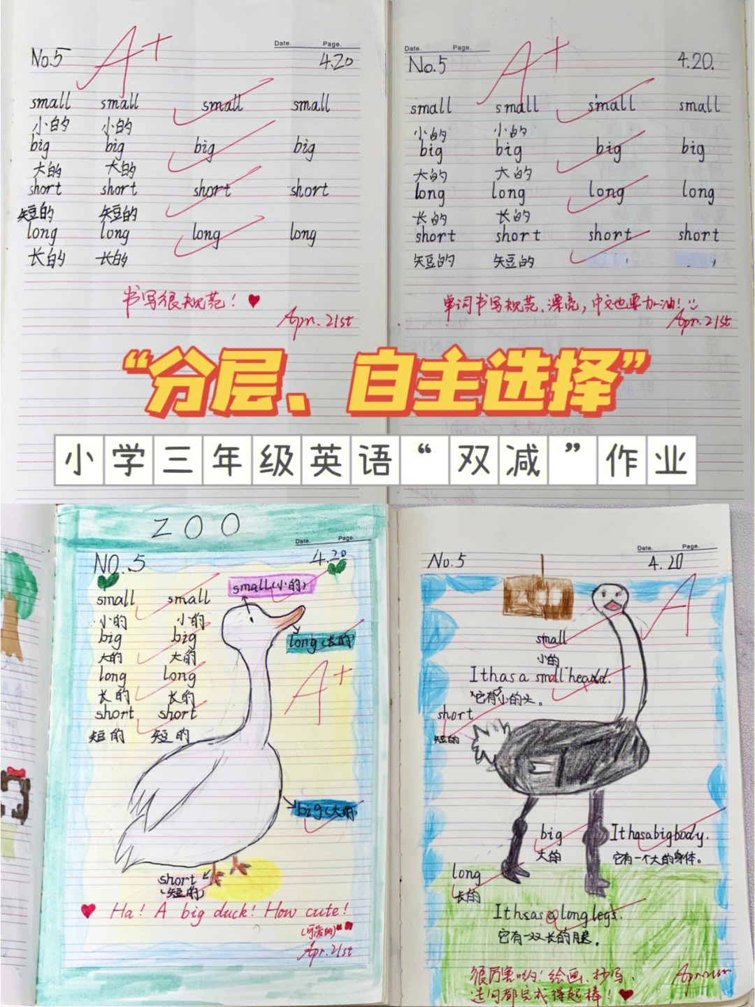 71双减背景下小学三年级英语特色作业