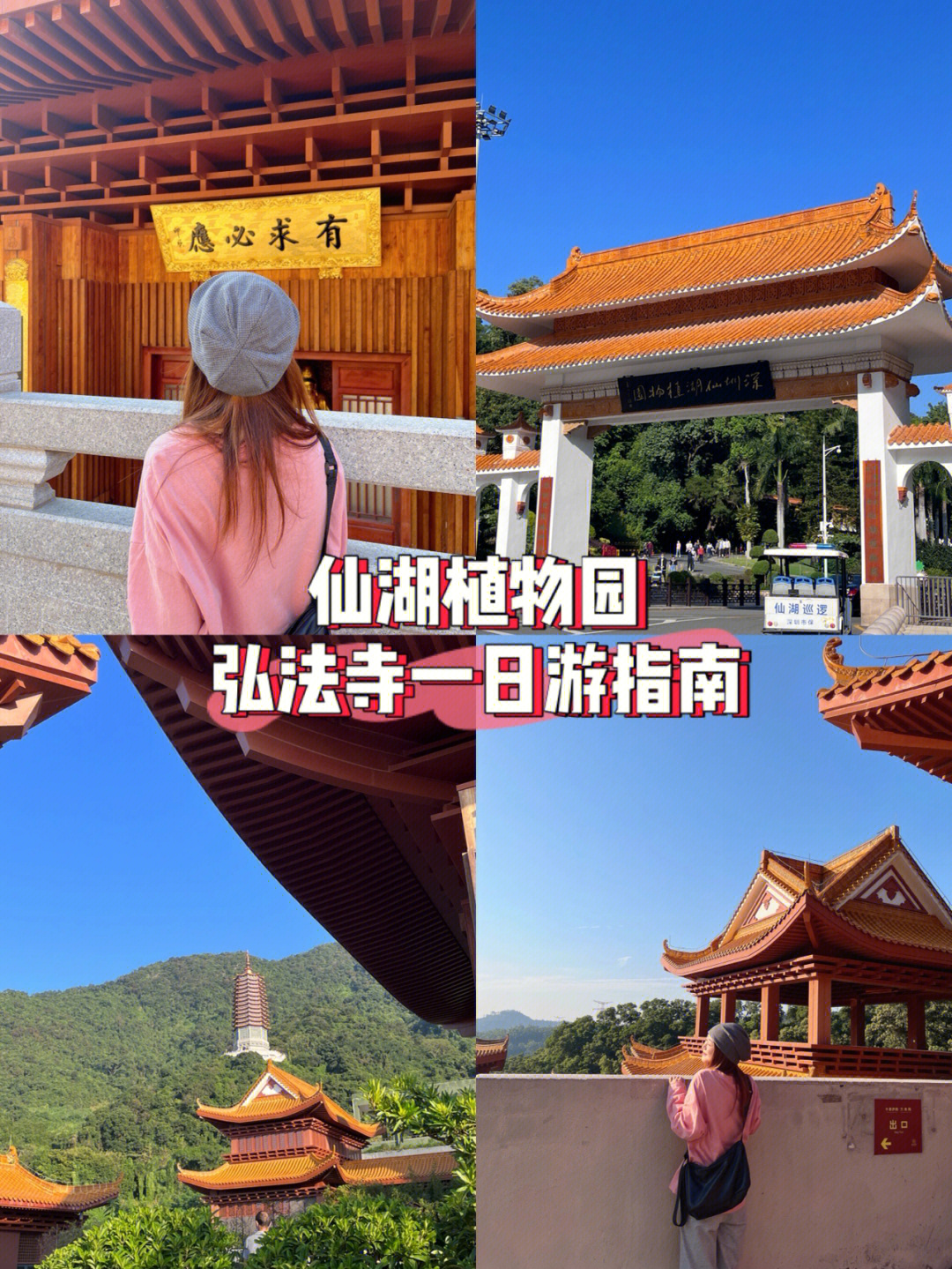 深圳仙湖植物园预约图片