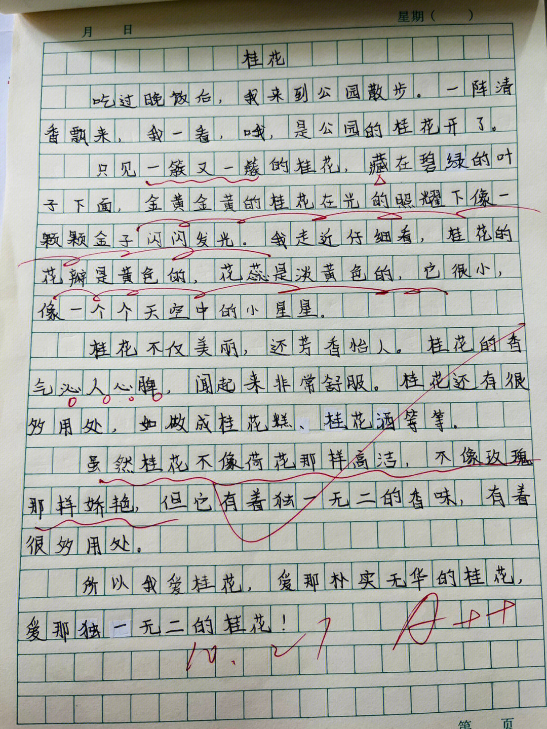 桂花作文朋友图片