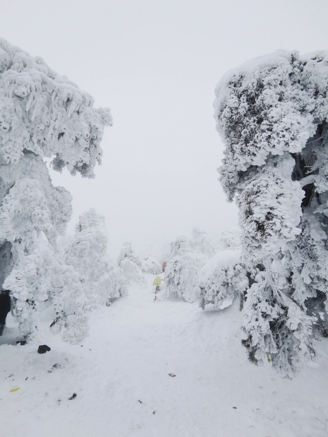 临安百丈岭雪山图片