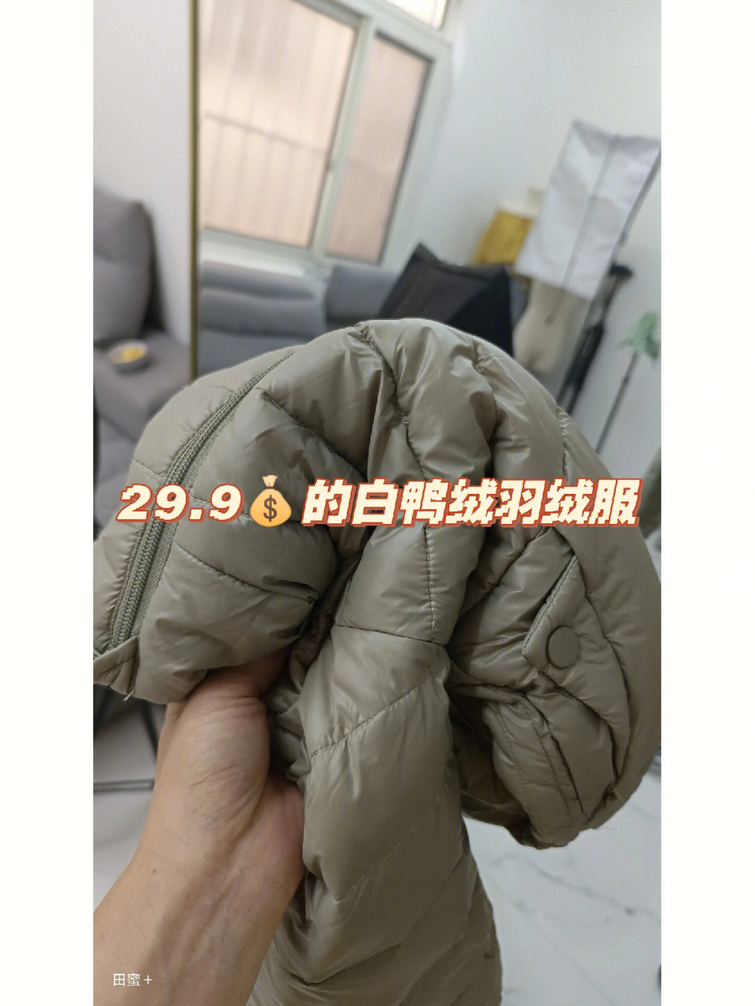 白鸭绒和灰鸭绒哪种好图片