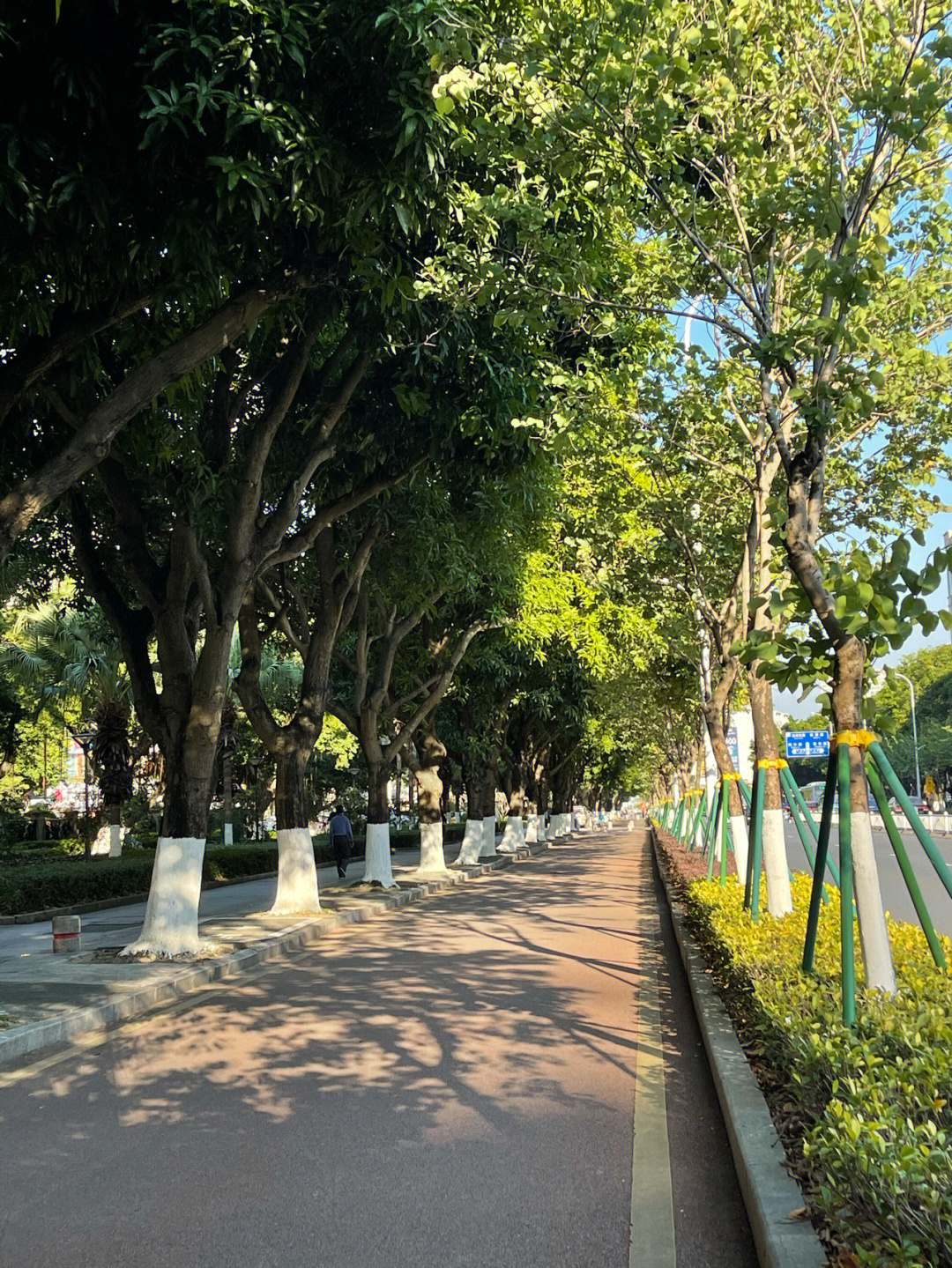 珠海香湾街道图片