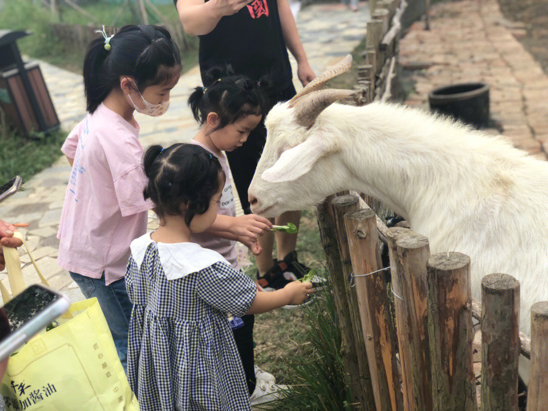 舟山百鸟园门票图片