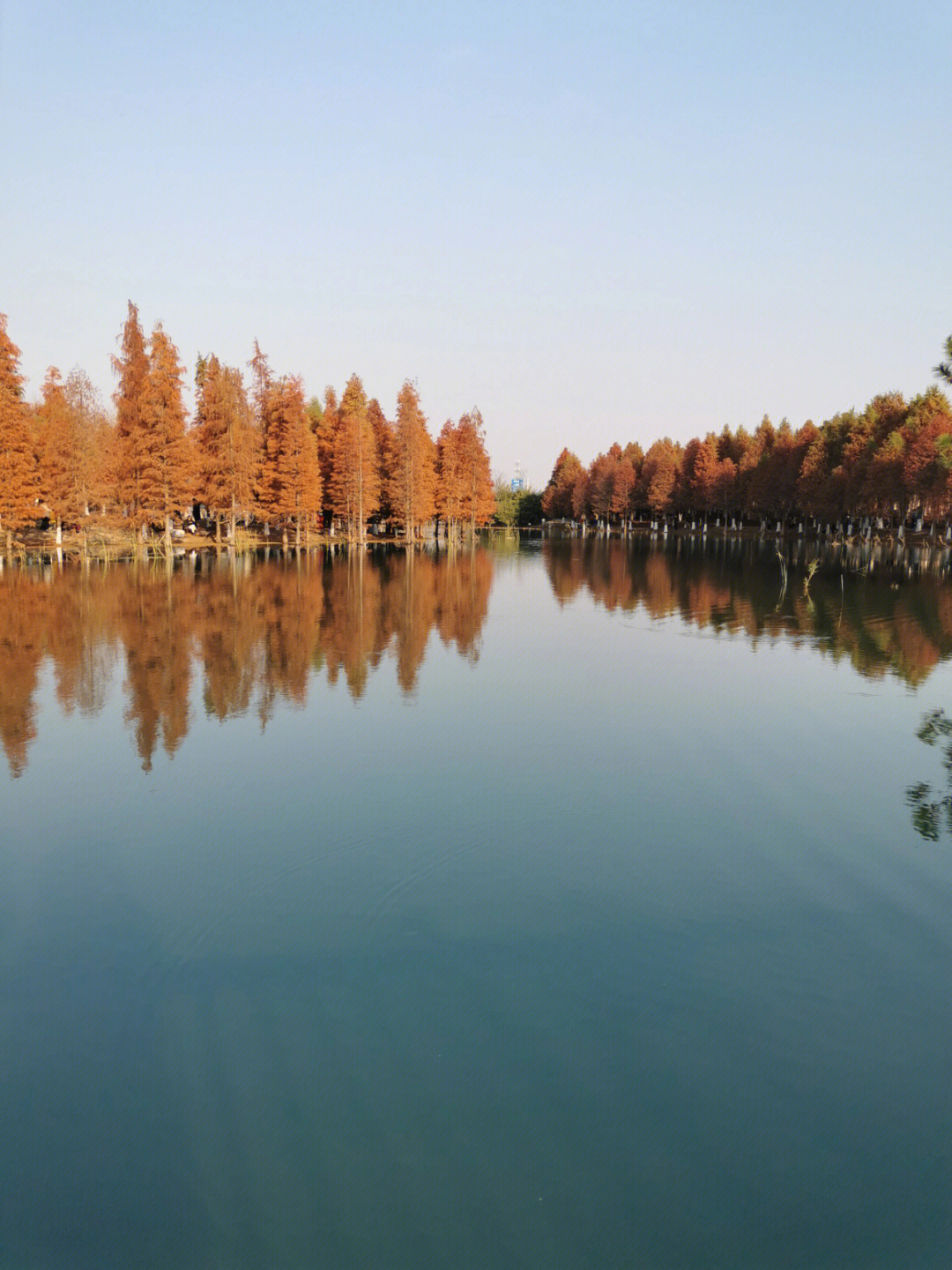 新龙生态湿地公园图片