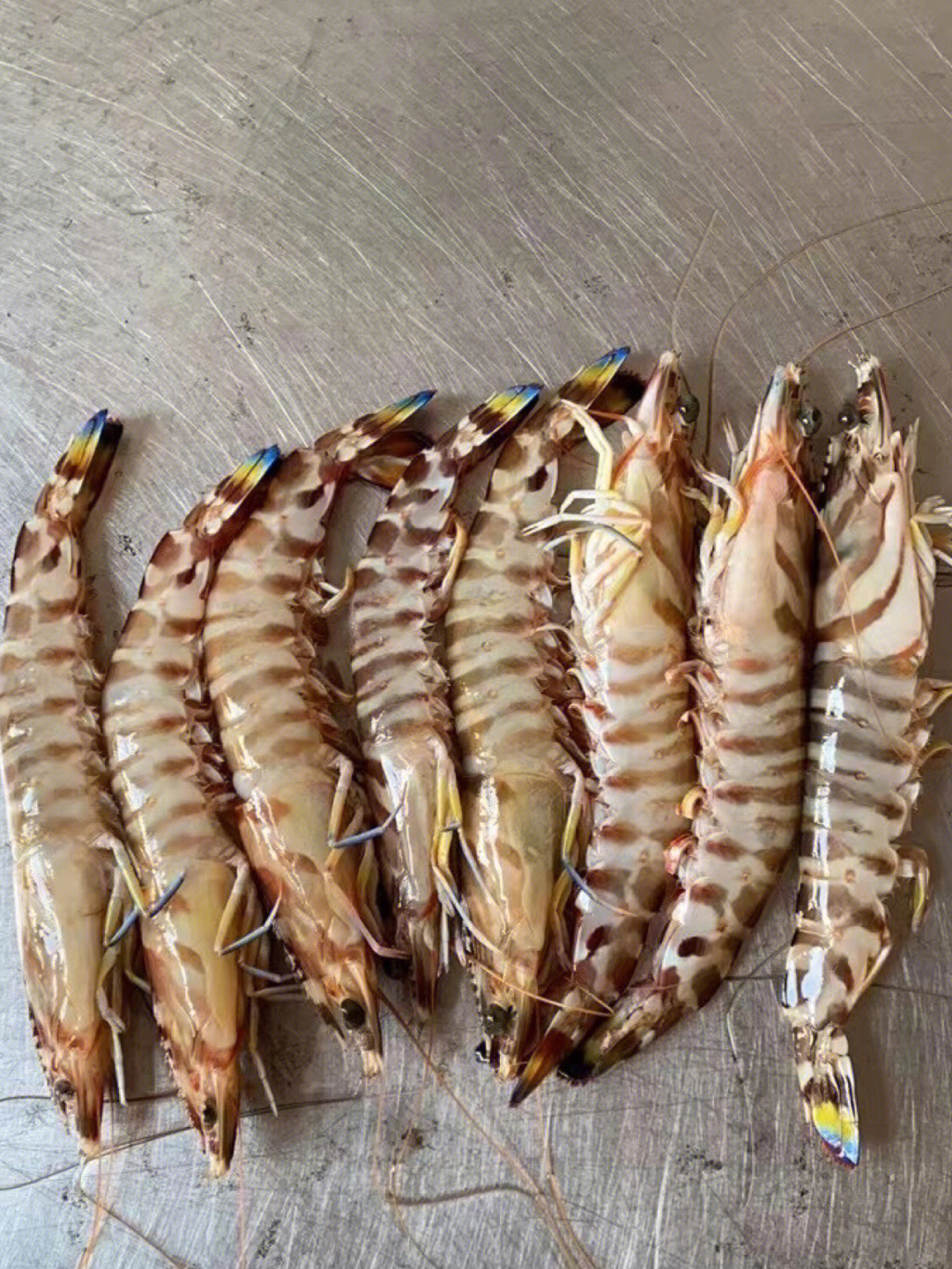 金线鱼多少钱一斤图片