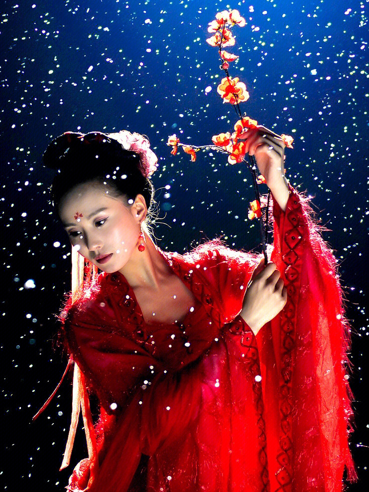 刘诗诗早期穿越剧《步步惊心》,是以清朝康熙年间为背景