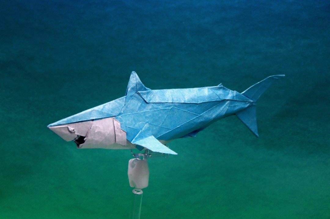 10步折纸立体锤头鲨图片