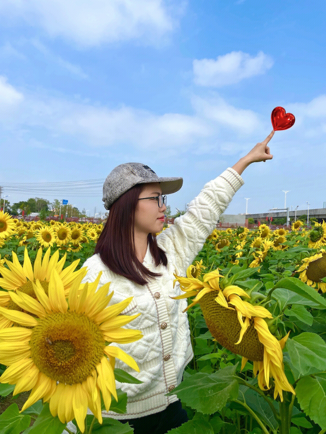 东莞横沥村头村葵花园