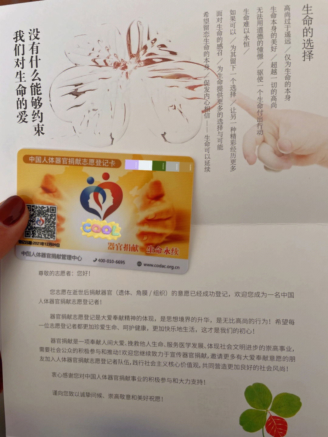 中国人体器官捐献表图片