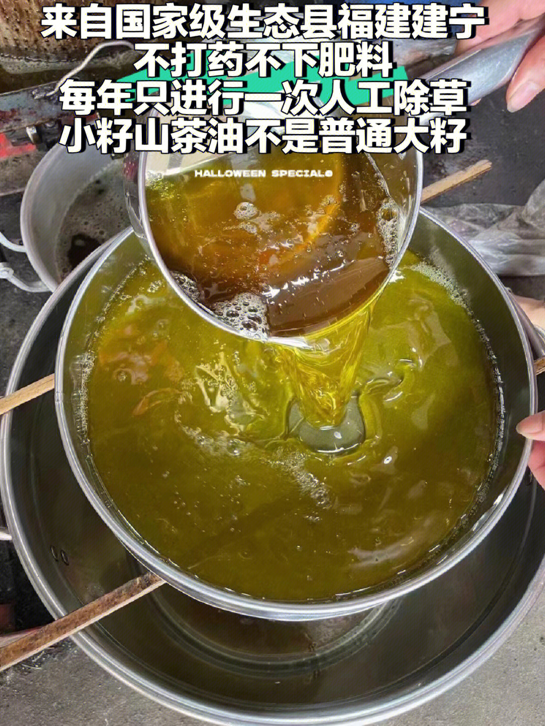 今日推荐自家野生小籽山茶油它有何功效