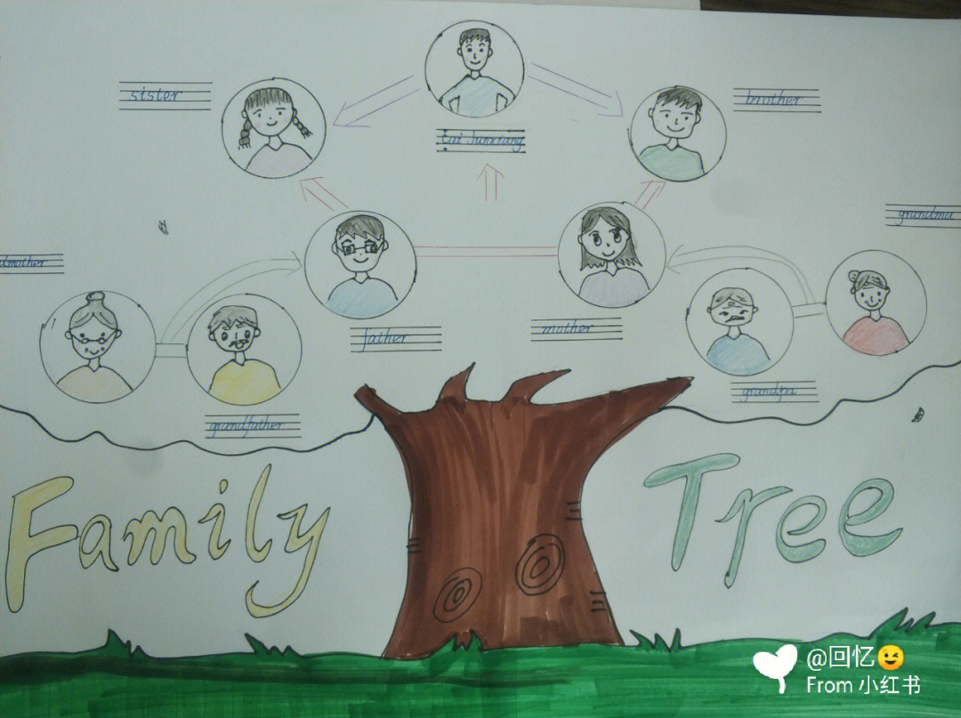 绘制家庭树图片的过程图片