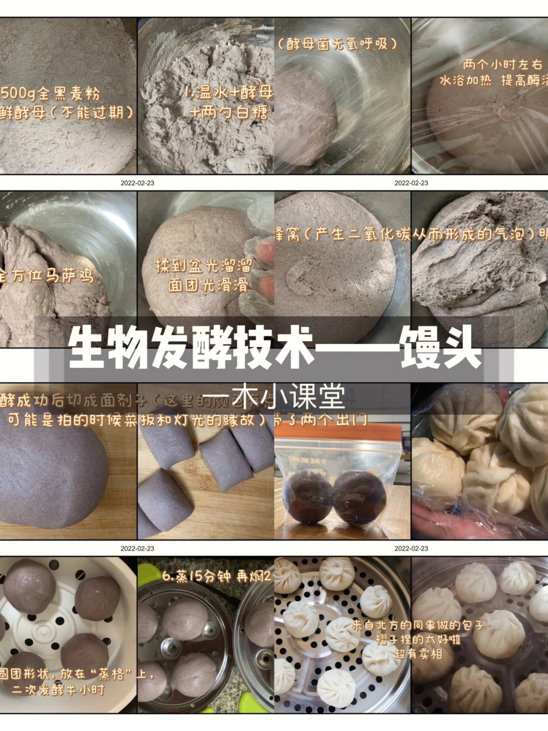 酵母菌发酵过程图片
