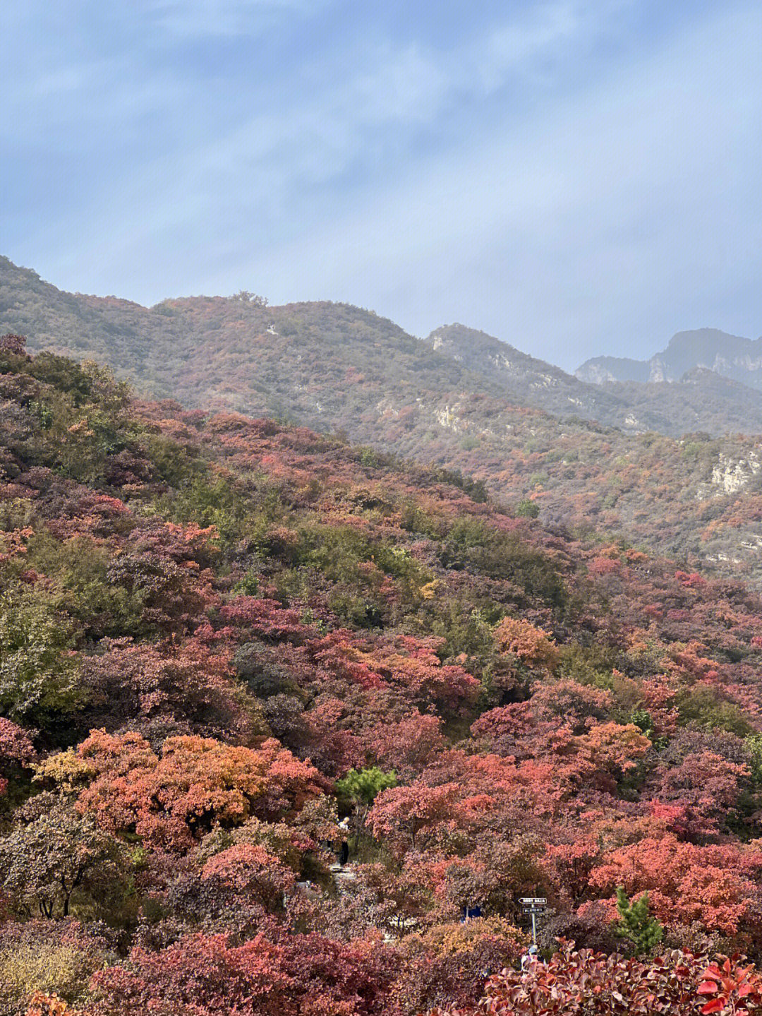 每周一山药王谷坡峰岭赏红叶