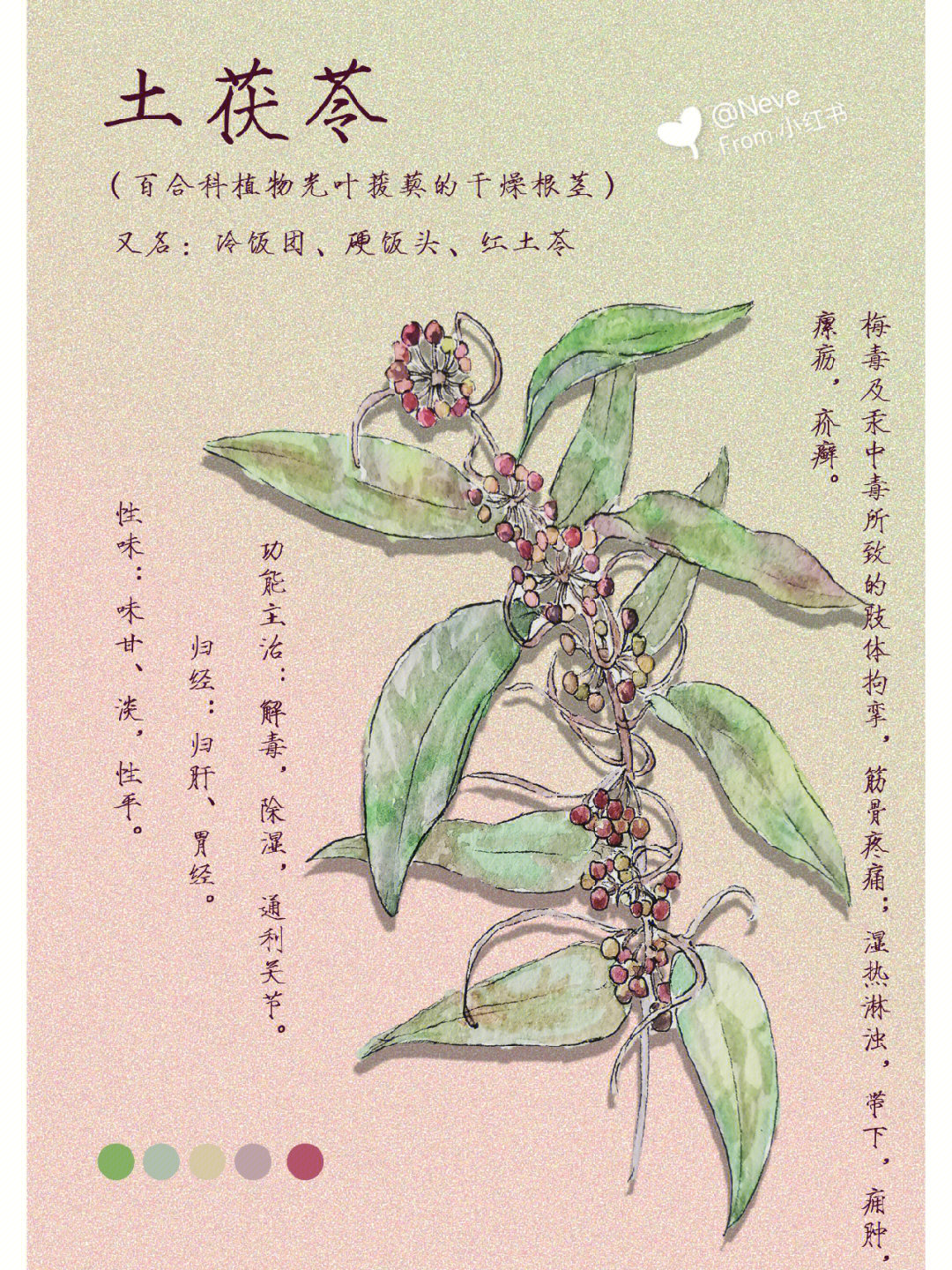 本草纲目土茯苓