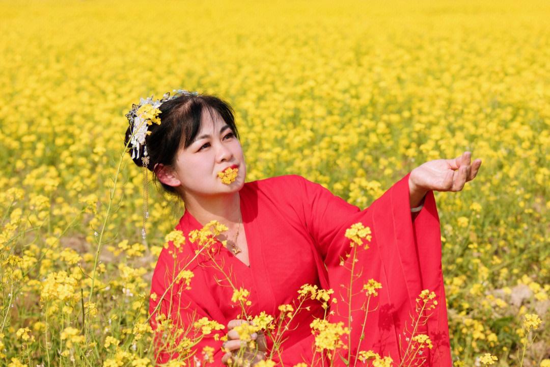 宾阳油菜花图片