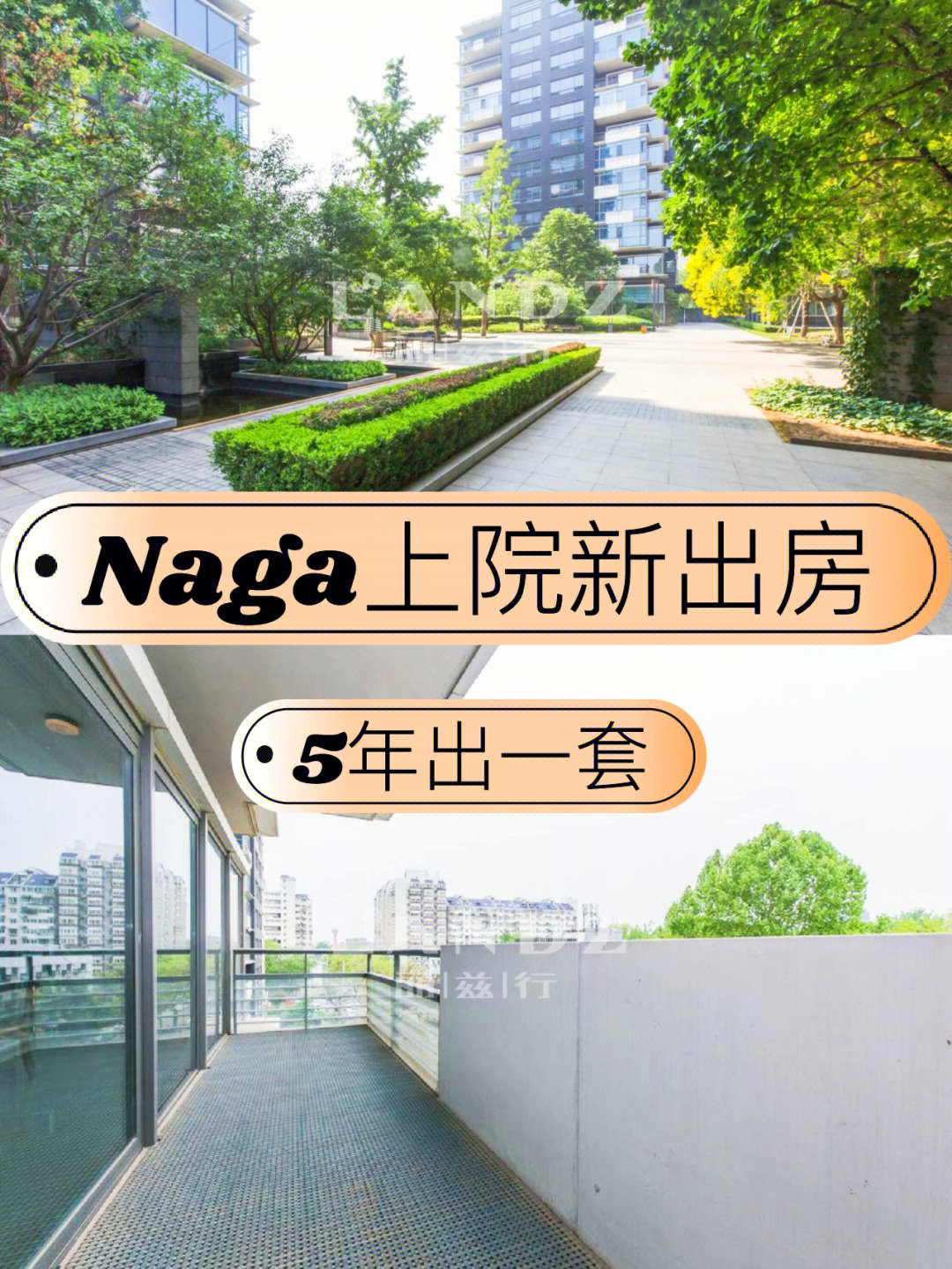 北京naga上院明星图片