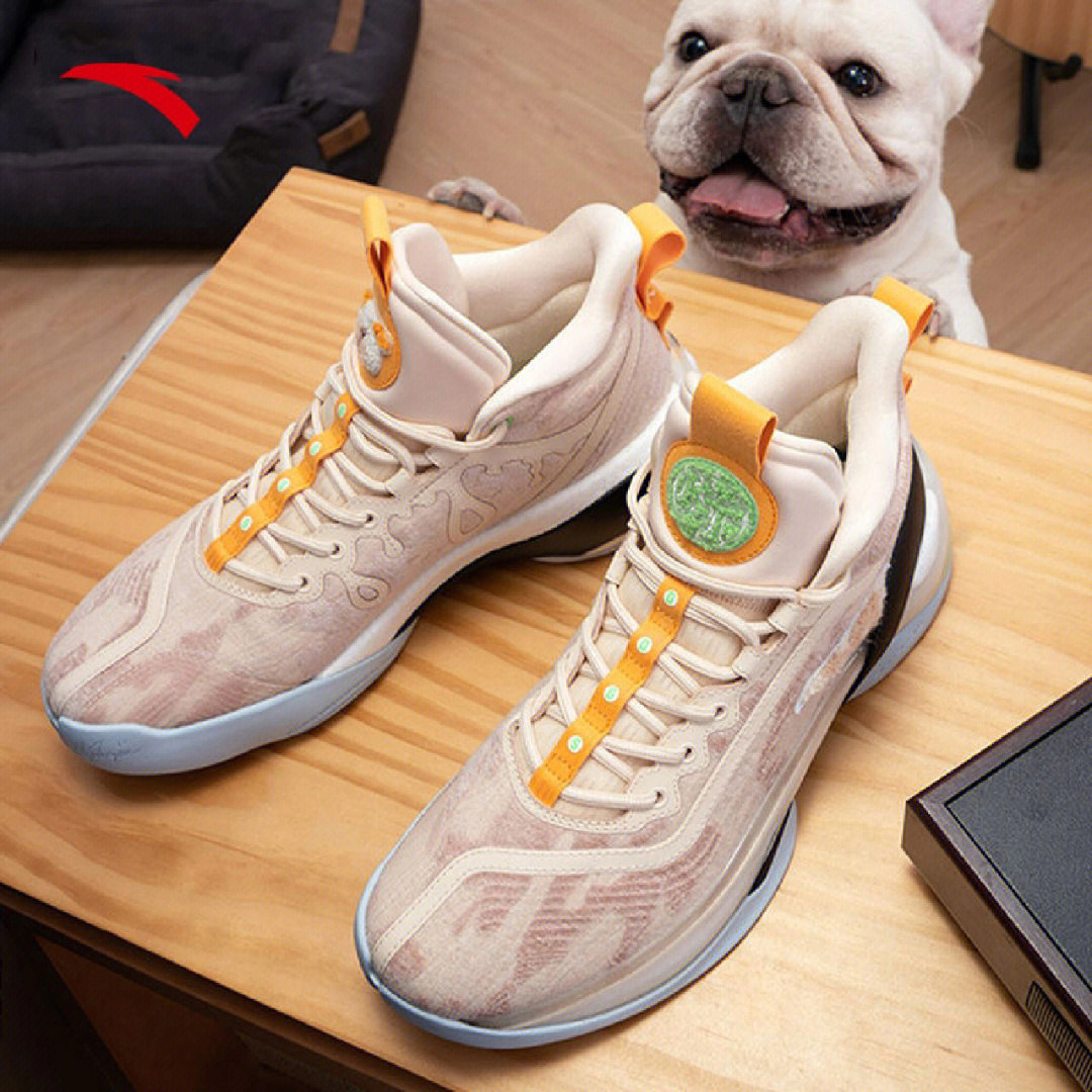 篮球鞋下的狗图片