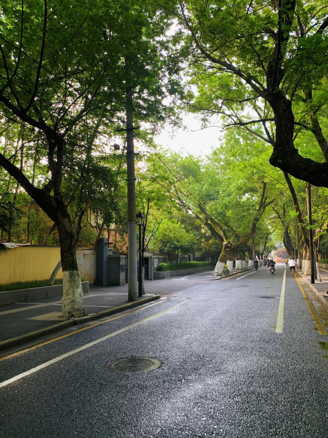 颐和路拍照图片