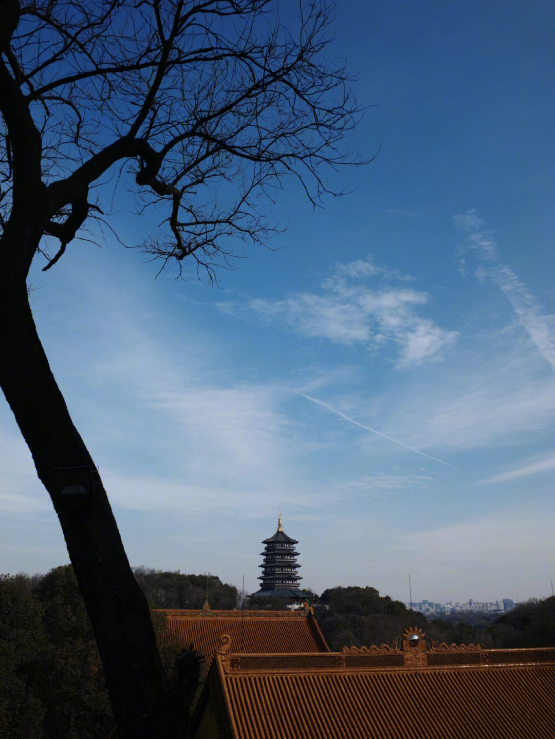 杭州霸王寺图片