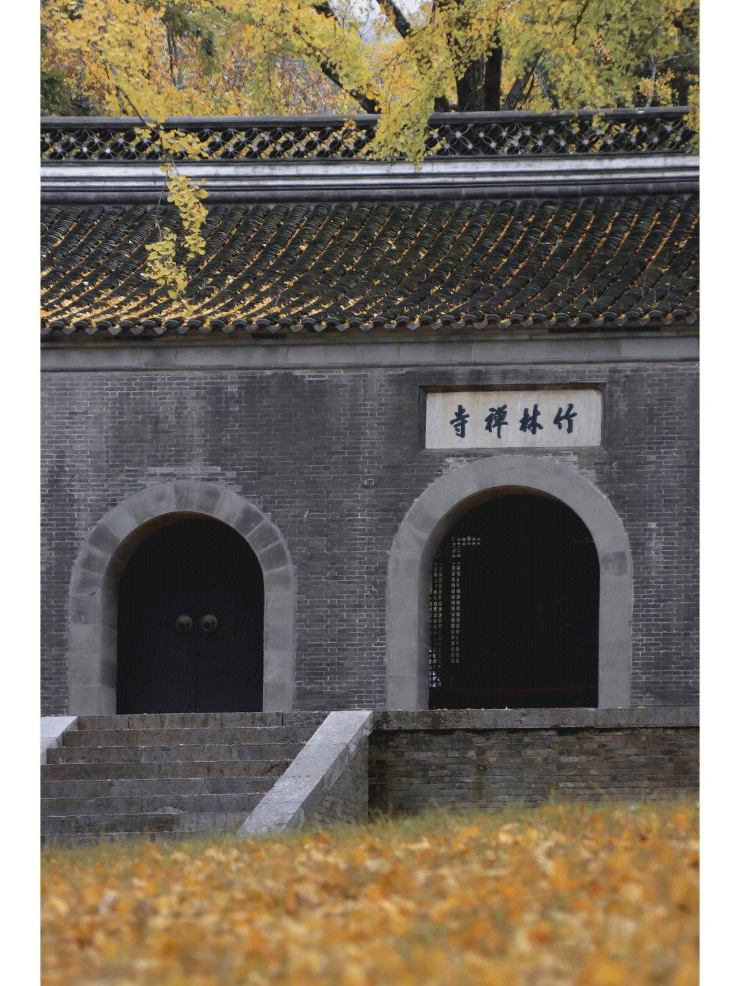 南山竹林寺的银杏也黄透了