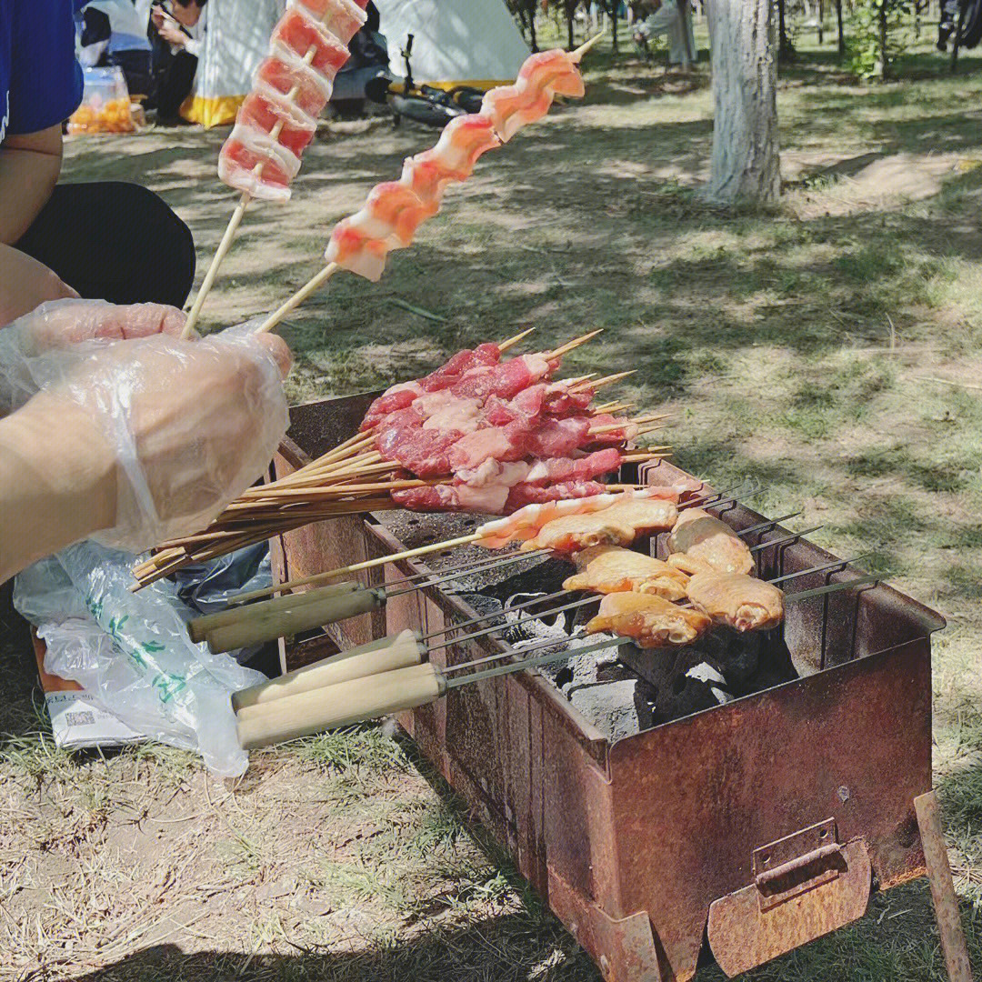 北辰郊野公园烧烤图片